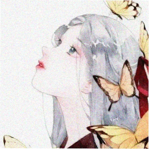 剧迷B